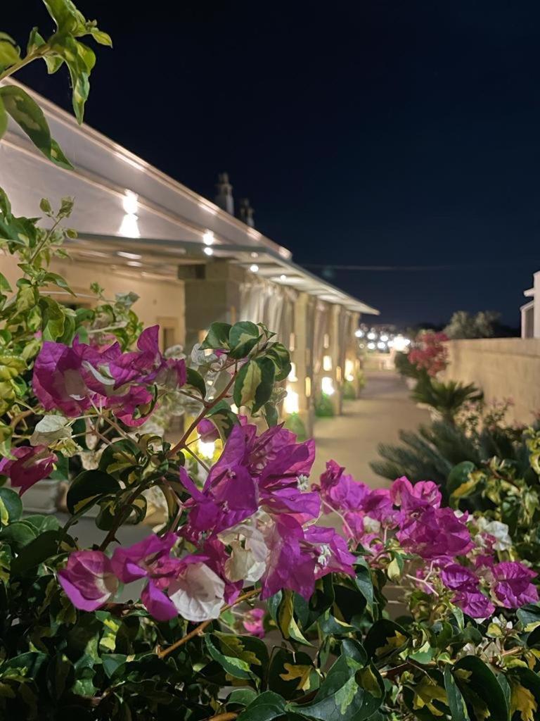 Paolottavia Apartment Monopoli Exterior photo